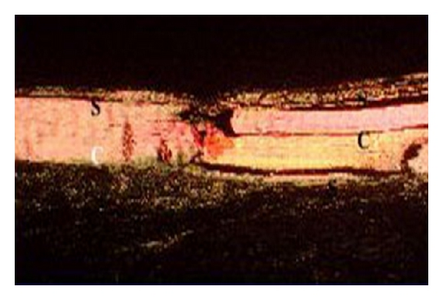 Details are in the caption following the image Details are in the caption following the image