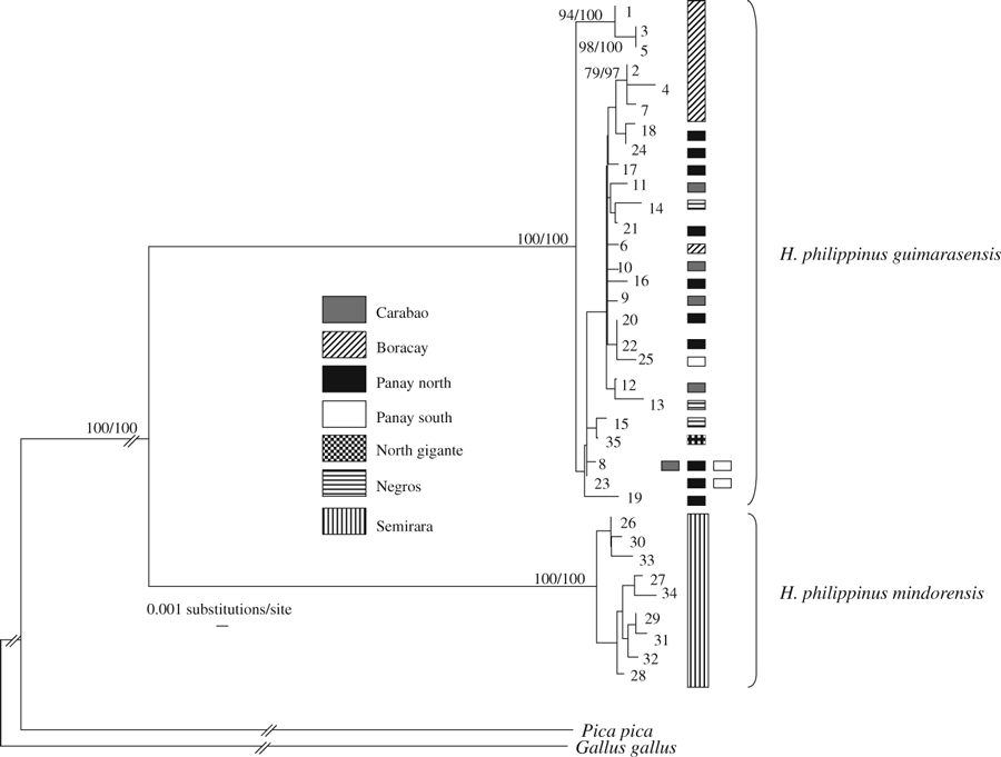 Details are in the caption following the image Details are in the caption following the image