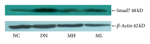 Details are in the caption following the image