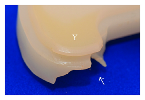 Details are in the caption following the image Details are in the caption following the image