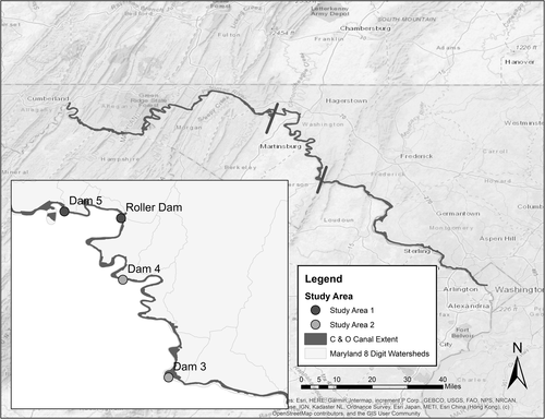 Details are in the caption following the image Details are in the caption following the image