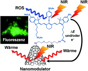 Photofunctional Nanomodulators for Bioexcitation