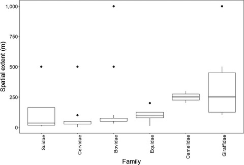 Variability in the estimation of ungulate group sizes complicates ecological inference