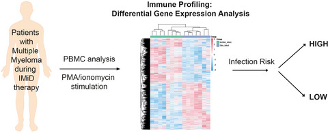 Successful identification of predictive profiles for infection utilising systems-level immune analysis: a pilot study in patients with relapsed and refractory multiple myeloma