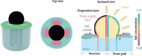Details are in the caption following the image Details are in the caption following the image