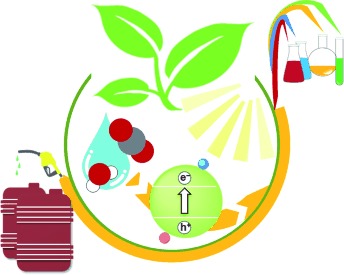 Artificial Photosynthesis for Sustainable Fuel and Chemical Production