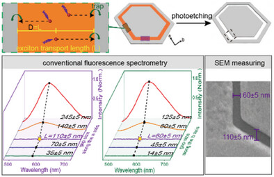 Measurement of Anisotropic Exciton Transport Lengths in Organic Crystals Using Photoetching