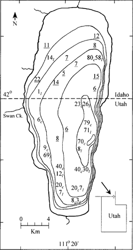 Details are in the caption following the image Details are in the caption following the image