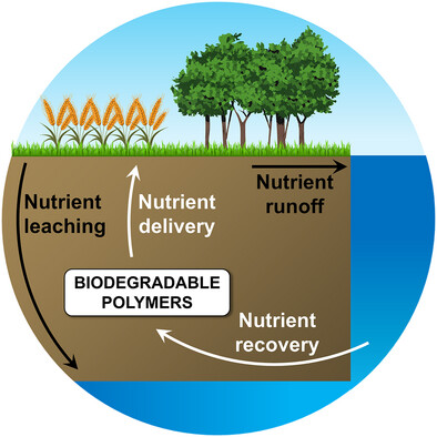 Biodegradable Polymers for Plant Nutrient Delivery and Recovery