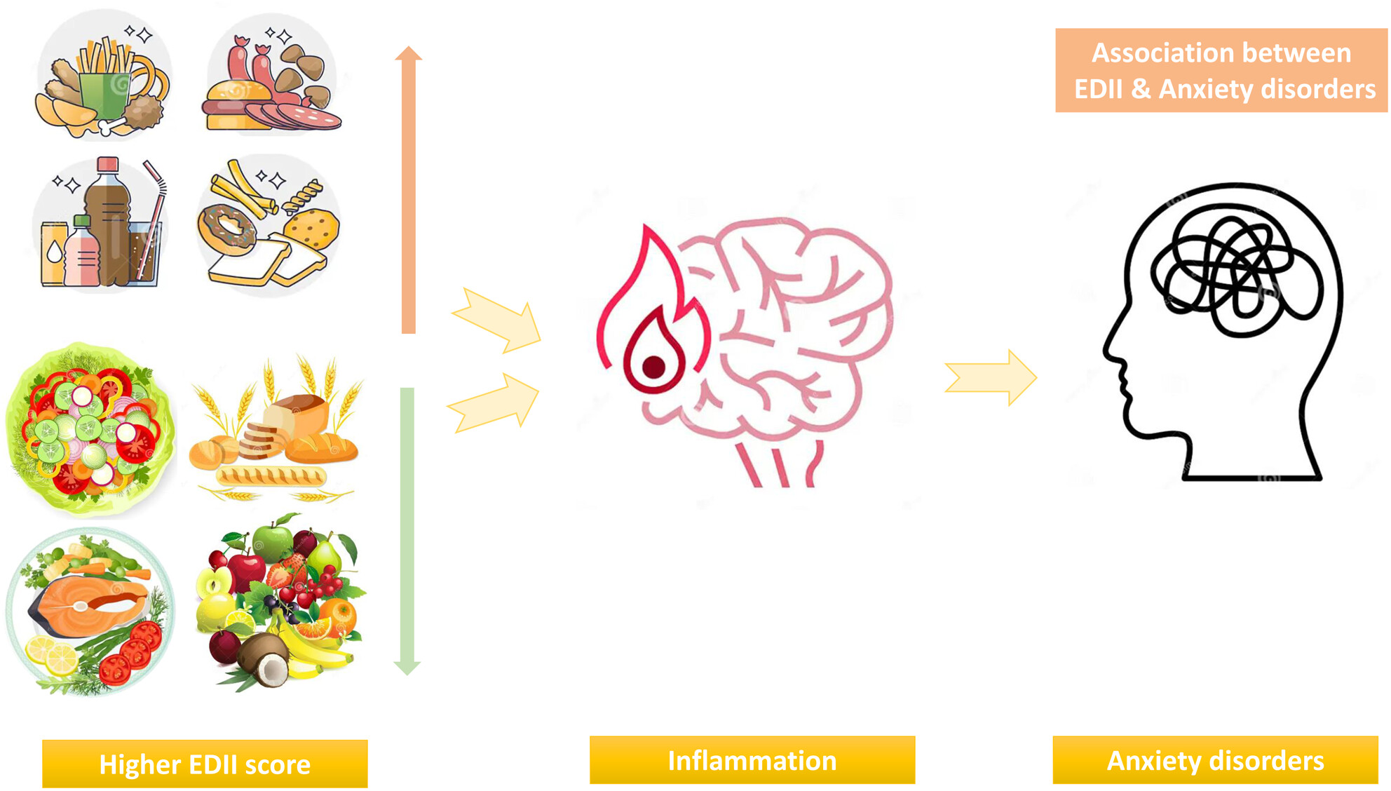 Association between empirical dietary inflammatory index, odds, and severity of anxiety disorders: A case–control study