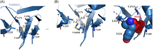 Details are in the caption following the image