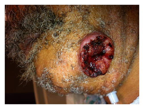 Details are in the caption following the image Details are in the caption following the image