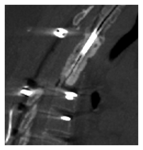 Details are in the caption following the image