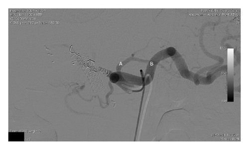 Details are in the caption following the image Details are in the caption following the image