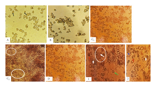 Details are in the caption following the image Details are in the caption following the image