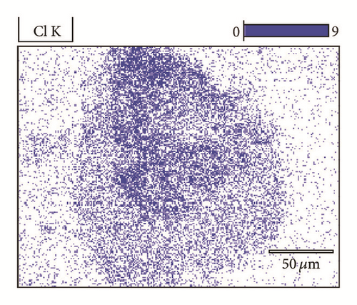 Details are in the caption following the image