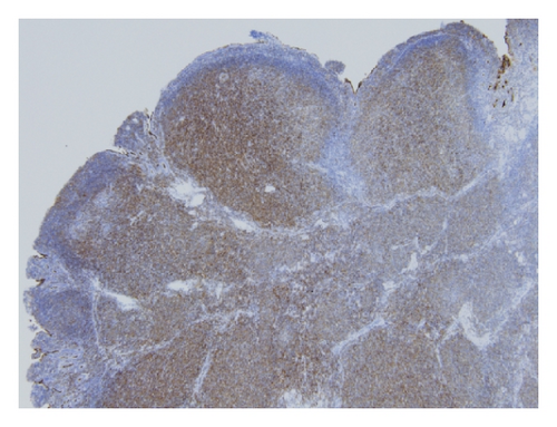 Details are in the caption following the image Details are in the caption following the image