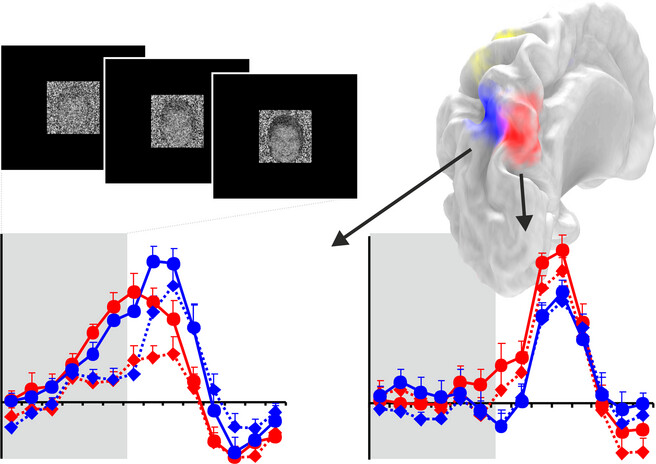 Decision and action planning signals in human posterior parietal cortex during delayed perceptual choices