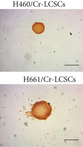 Details are in the caption following the image