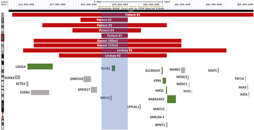 Details are in the caption following the image Details are in the caption following the image