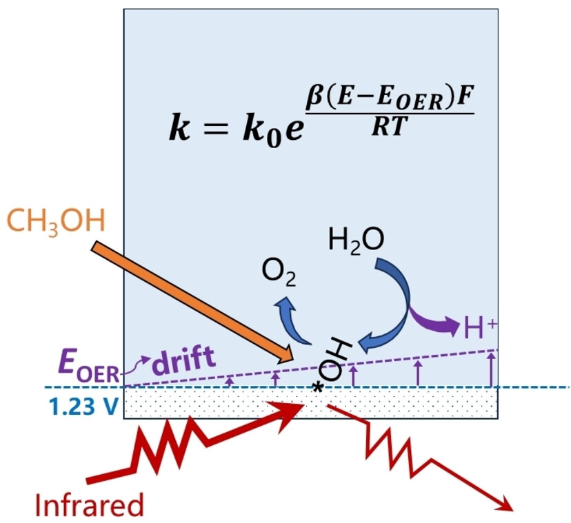 Deciphering pH Mismatching at the Electrified Electrode–Electrolyte Interface towards Understanding Intrinsic Water Molecule Oxidation Kinetics