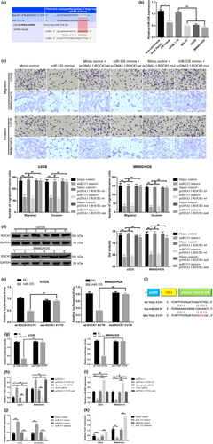 Details are in the caption following the image Details are in the caption following the image
