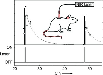 Externally Triggered Glass Transition Switch for Localized On-Demand Drug Delivery