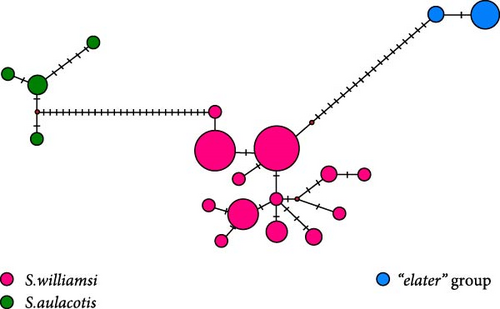 Details are in the caption following the image Details are in the caption following the image