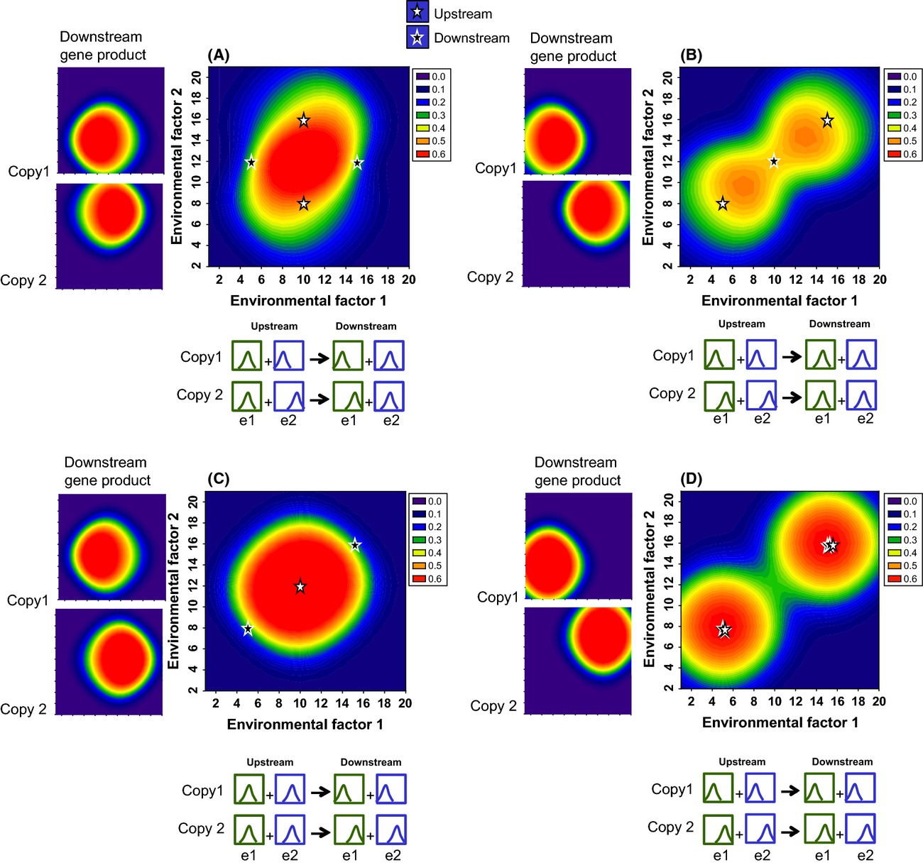 Gene duplication and the environmental regulation of physiology and development