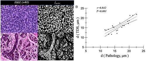 Details are in the caption following the image