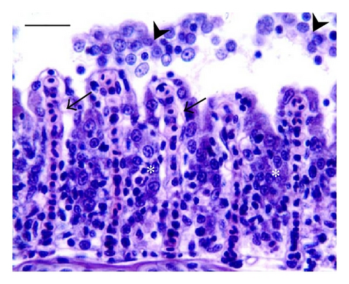 Details are in the caption following the image