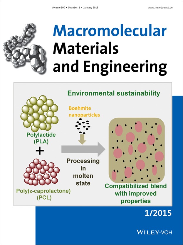 Cover Picture: Macromol. Mater. Eng. 1/2015
