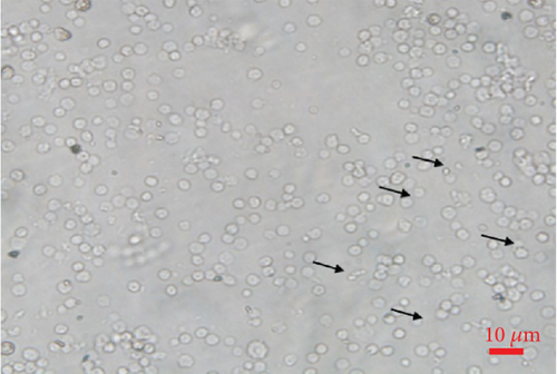 Details are in the caption following the image