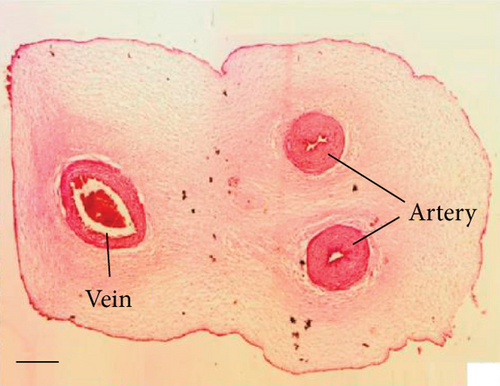 Details are in the caption following the image