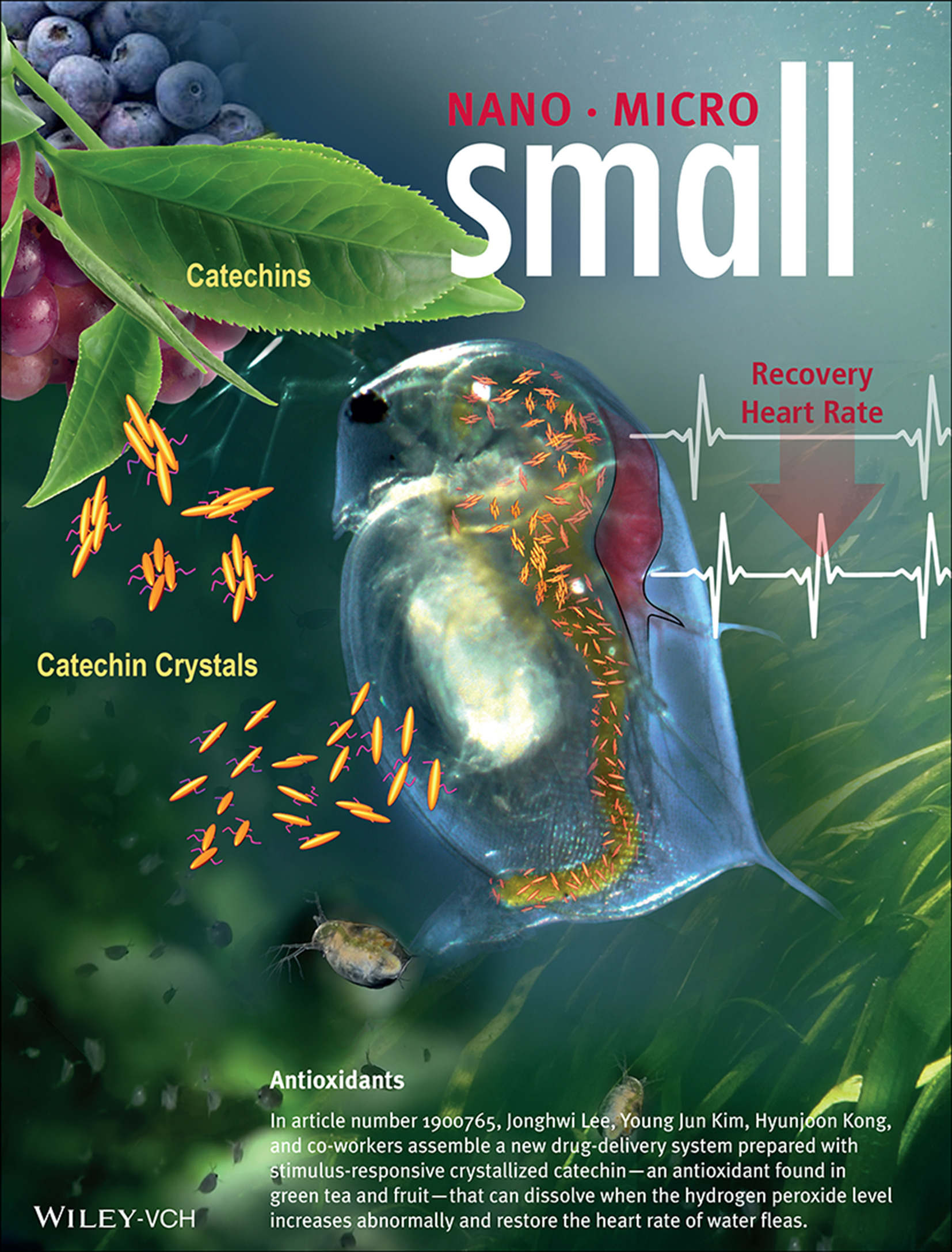 Antioxidants: Stimulus-Responsive Anti-Oxidizing Drug Crystals and their Ecological Implication (Small 21/2019) Volume 15 Issue 21, 2019