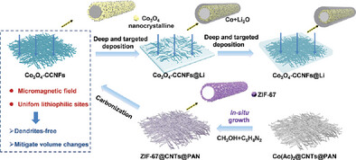 Lithiophilic Magnetic Host Facilitates Target-Deposited Lithium for Practical Lithium-Metal Batteries