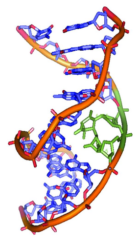 Details are in the caption following the image