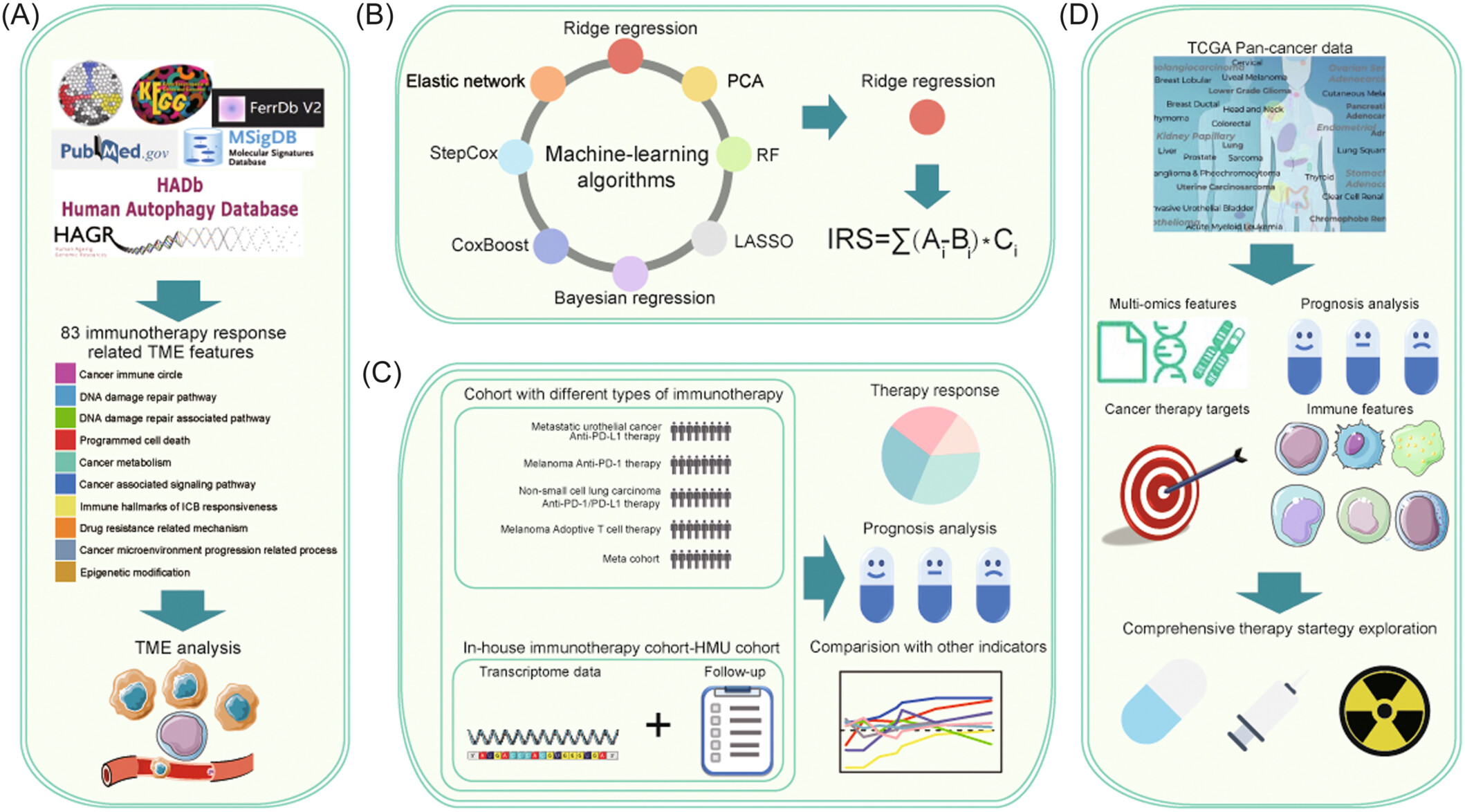 Machine-learning-based integration of tumor microenvironment features predicting immunotherapy response