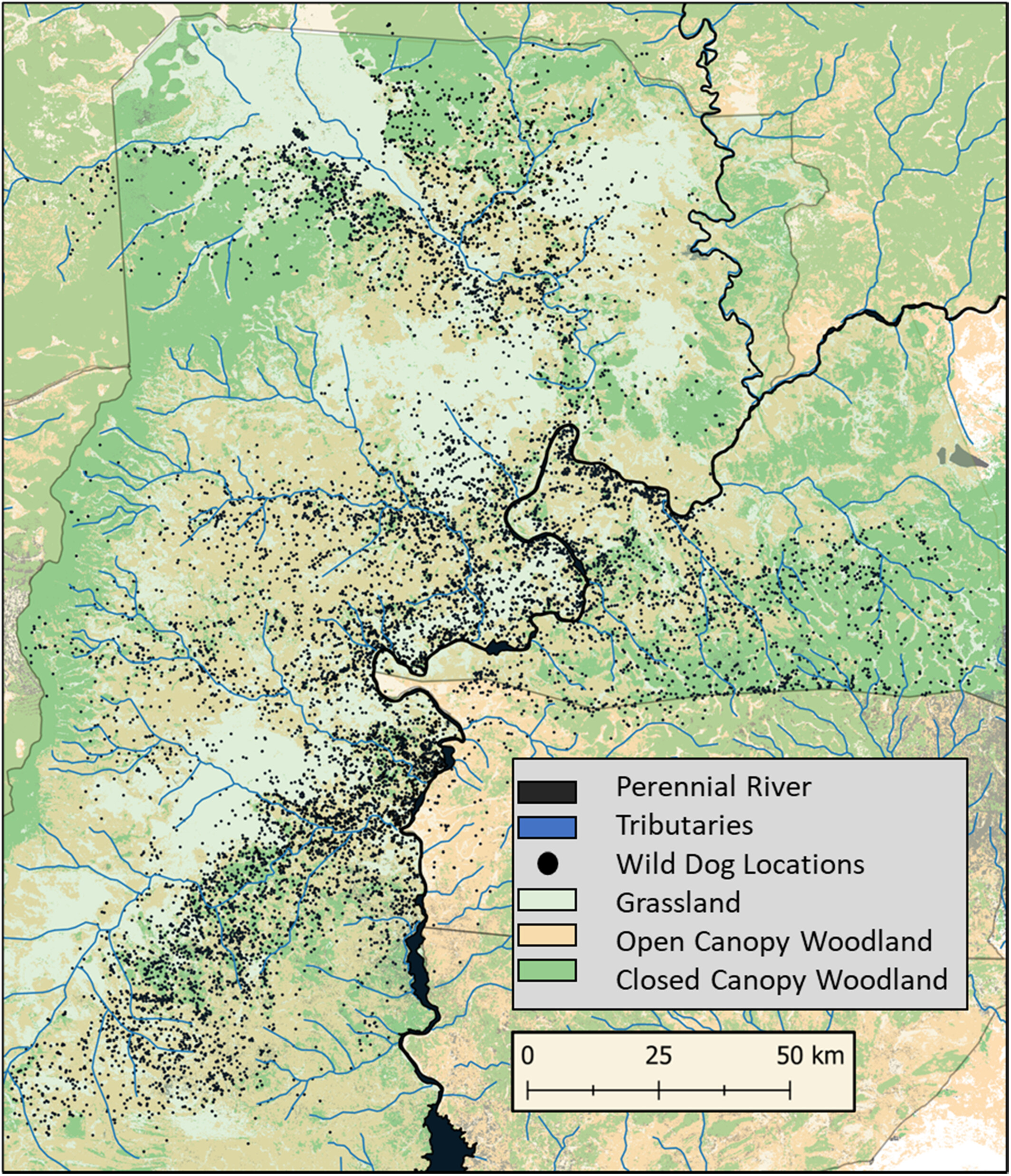 Spatial Risk Effects From Lions Compound Impacts of Prey Depletion on African Wild Dogs