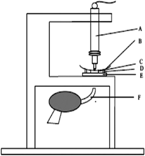 Details are in the caption following the image