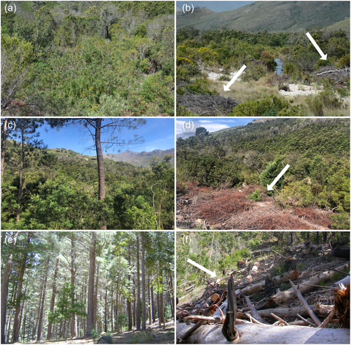 Details are in the caption following the image Details are in the caption following the image