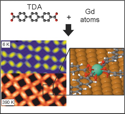 Surface-Supported Robust 2D Lanthanide-Carboxylate Coordination Networks