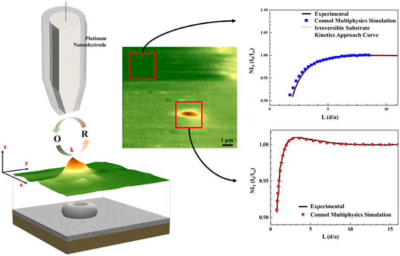 Investigation into the morphological implications on electron transfer dynamics of lithium peroxides by scanning electrochemical microscopy