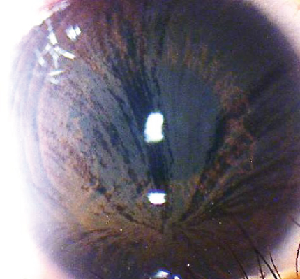 Details are in the caption following the image