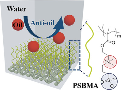 Zwitterionic Polymer-Grafted Superhydrophilic and Superoleophobic Silk Fabrics for Anti-Oil Applications