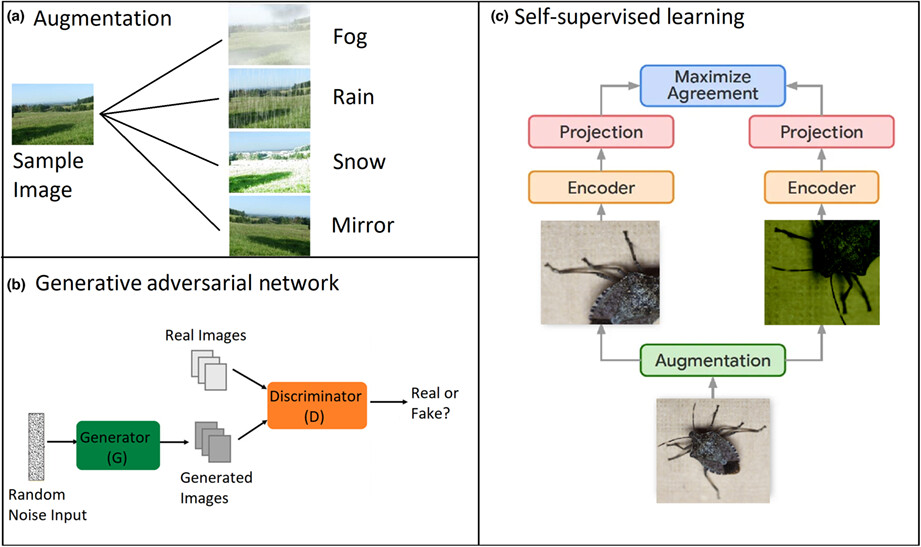 Getting the bugs out of AI: Advancing ecological research on arthropods through computer vision
