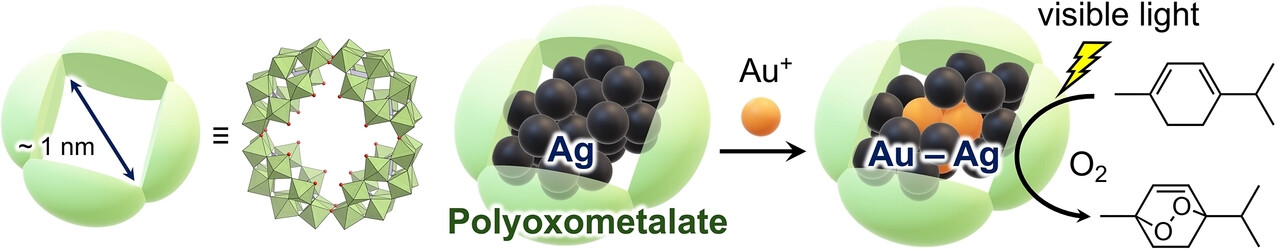 Synthesis of a Gold–Silver Alloy Nanocluster within a Ring-Shaped Polyoxometalate and Its Photocatalytic Property