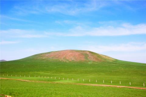 Drought and grazing drive the retrogressive succession by changing the plant–plant interaction of the main species in Inner Mongolia Steppe