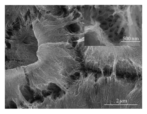Details are in the caption following the image