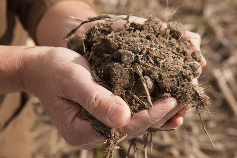 Managing for soil carbon sequestration: Let’s get realistic